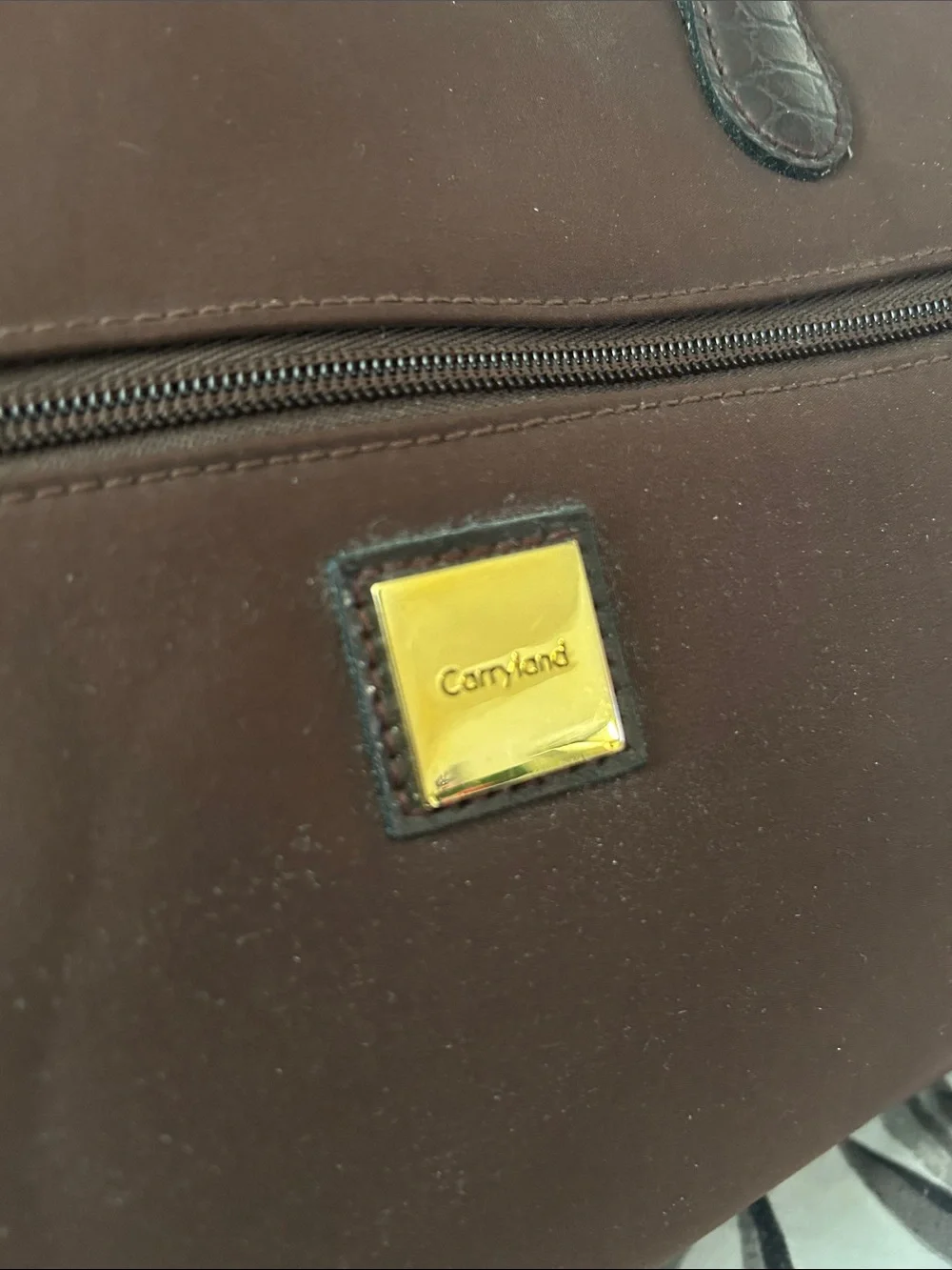 Carryland Brown Dome Satchel